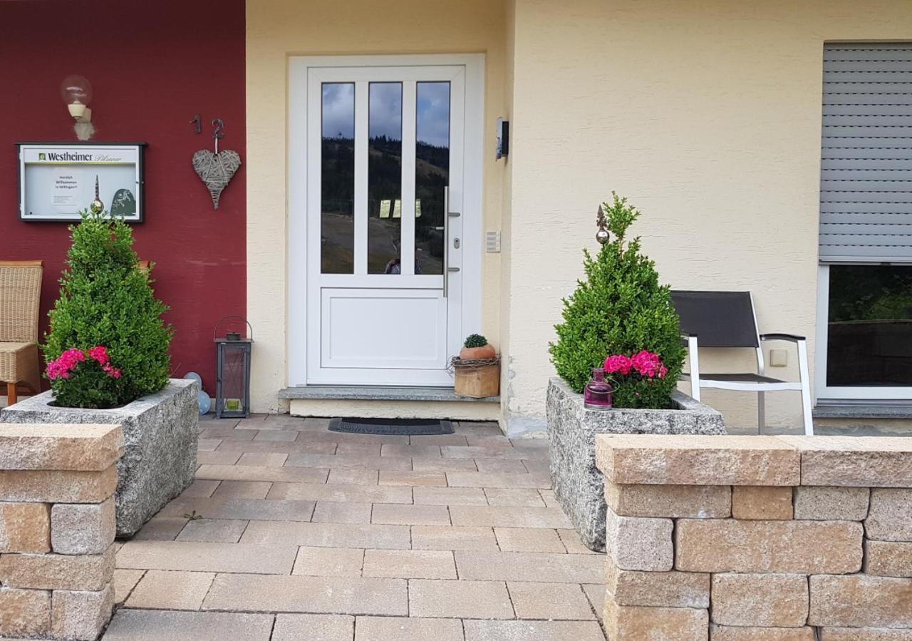 Haus am Sonnenlift - Fewo A Willingen  Exterior foto